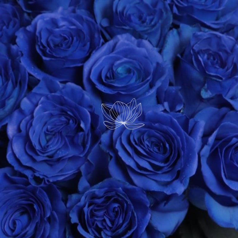 Blue Tinted Long Stem Roses | Blue Flower Bouquet | Blooming Emotions ...