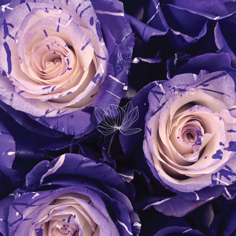 Enchanted Andrea Tinted Roses (Purple & White)