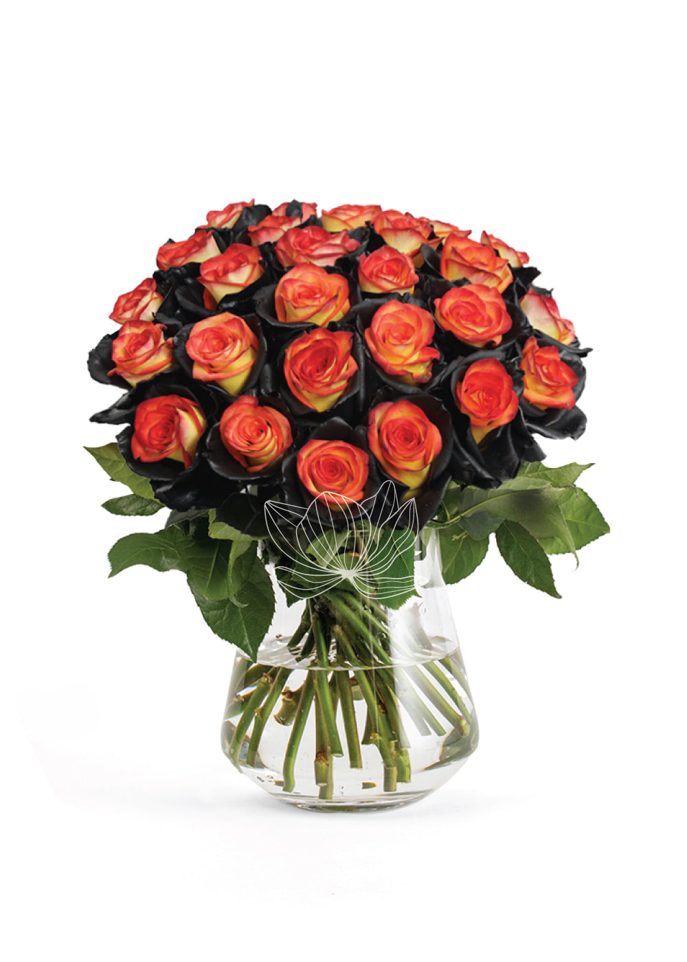 Magic Marker Roses Magic Spell Tinted Roses (Orange & Red) | Online Gift Flowers ...