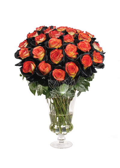 Magic Spell Tinted Roses (Orange & Black)