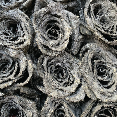 Spider Web Tinted Roses (Black & White)
